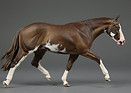 R. Painted Tex-mini.jpg