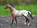 R. Arrow-mini.JPG