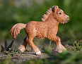 Wilma J-mini.JPG