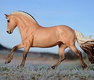 Lyra J-mini.JPG