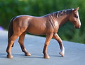 Faithless Sally J-mini.JPG