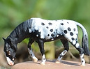 R. Mighty Twist-mini1.JPG