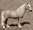 Diplomat J sepia-mini.JPG