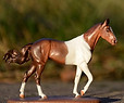 Sundari-mini.JPG