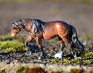 Saga J-mini.JPG