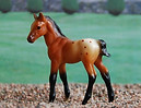 R.Apache-mini.JPG