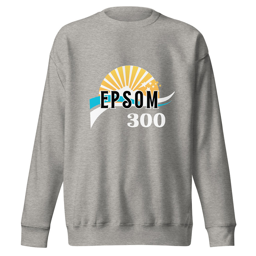 Thumbnail: Unisex Crew Neck Epsom 300 Logo Sweatshirt
