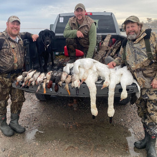 Ducks from the Guided Currituck Sound Waterfowl Hunts with Sportsman's Paradise Adventures Ducks and Geese on the end of the Truck Bed