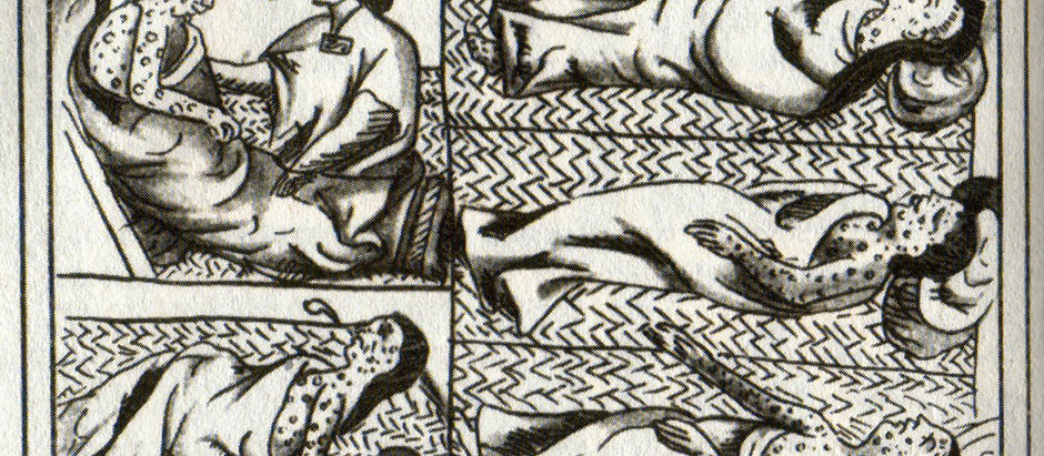 Contextualizing 1491-1607
