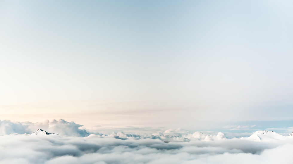 Website Banner(7).png