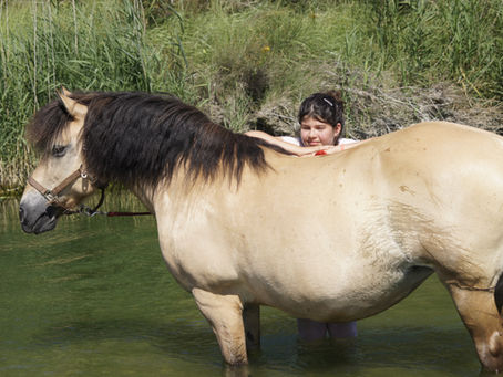 enfant dans la rivière avec une jument du Phoenix