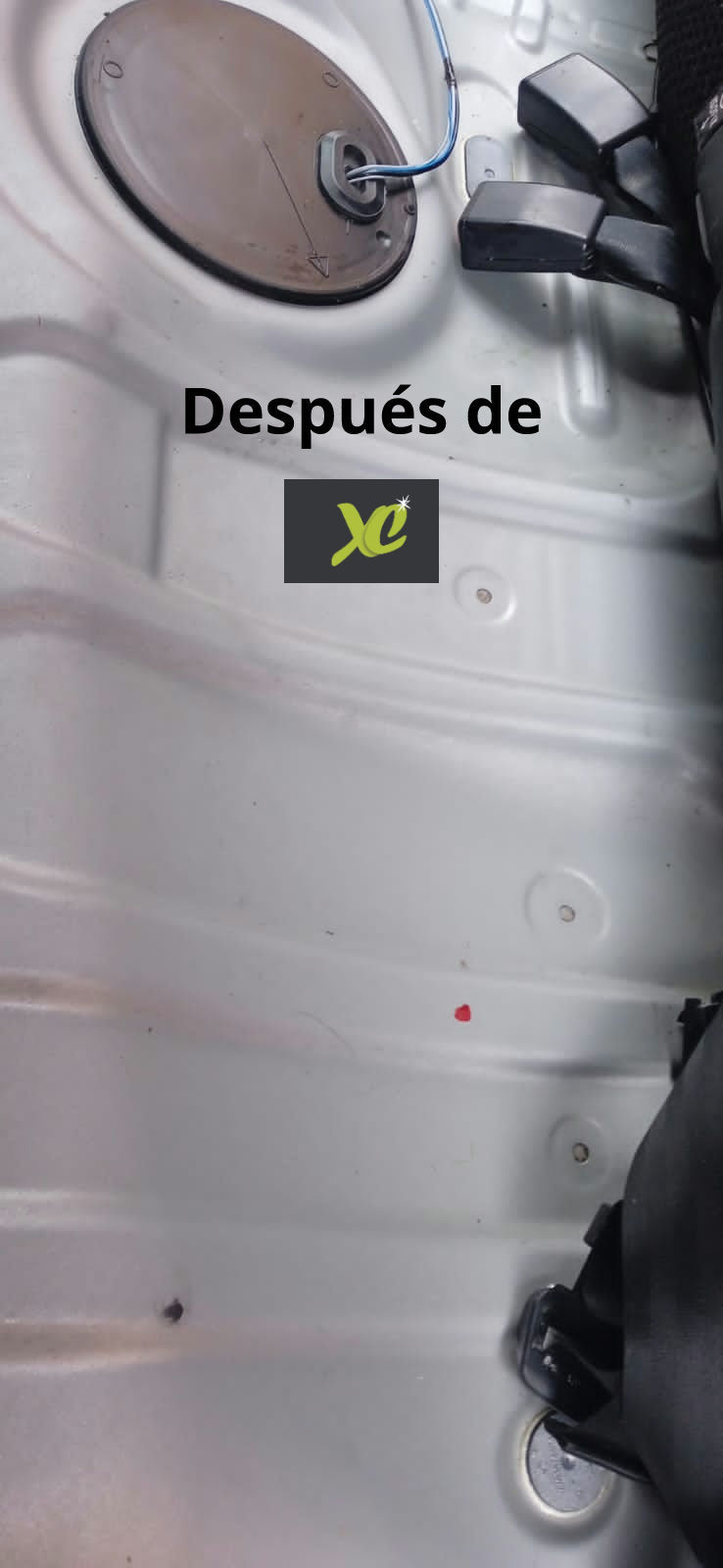 Miniatura: Limpieza y desinfección interior