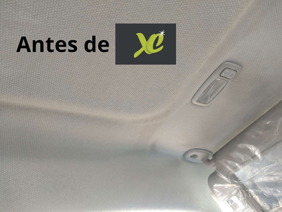 Miniatura: Limpieza de techo