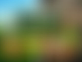 Ilustração comparando marcas éticas e greenwashing, com elementos de sustentabilidade real como energia solar e natureza de um lado, e do outro poluição industrial e marketing enganoso com rótulos “eco” e “100% natural”.