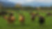 AdobeStock_246049205.jpg.jpeg