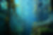 AdobeStock_252561920.jpeg