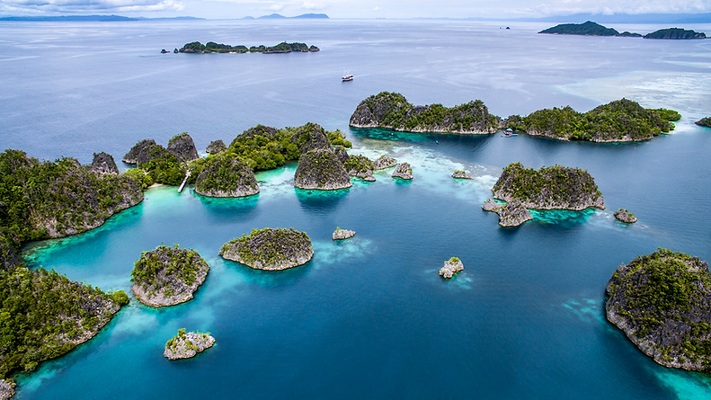 Dune-Liveaboard-in-Raja-Ampat.png