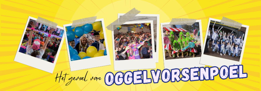 Oggelvorsen omslag het gevoel van.png