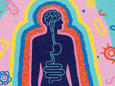 From Stomach to State of Mind: The Gut-Brain Connection