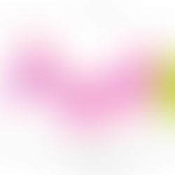 Stochastic models in biological systems