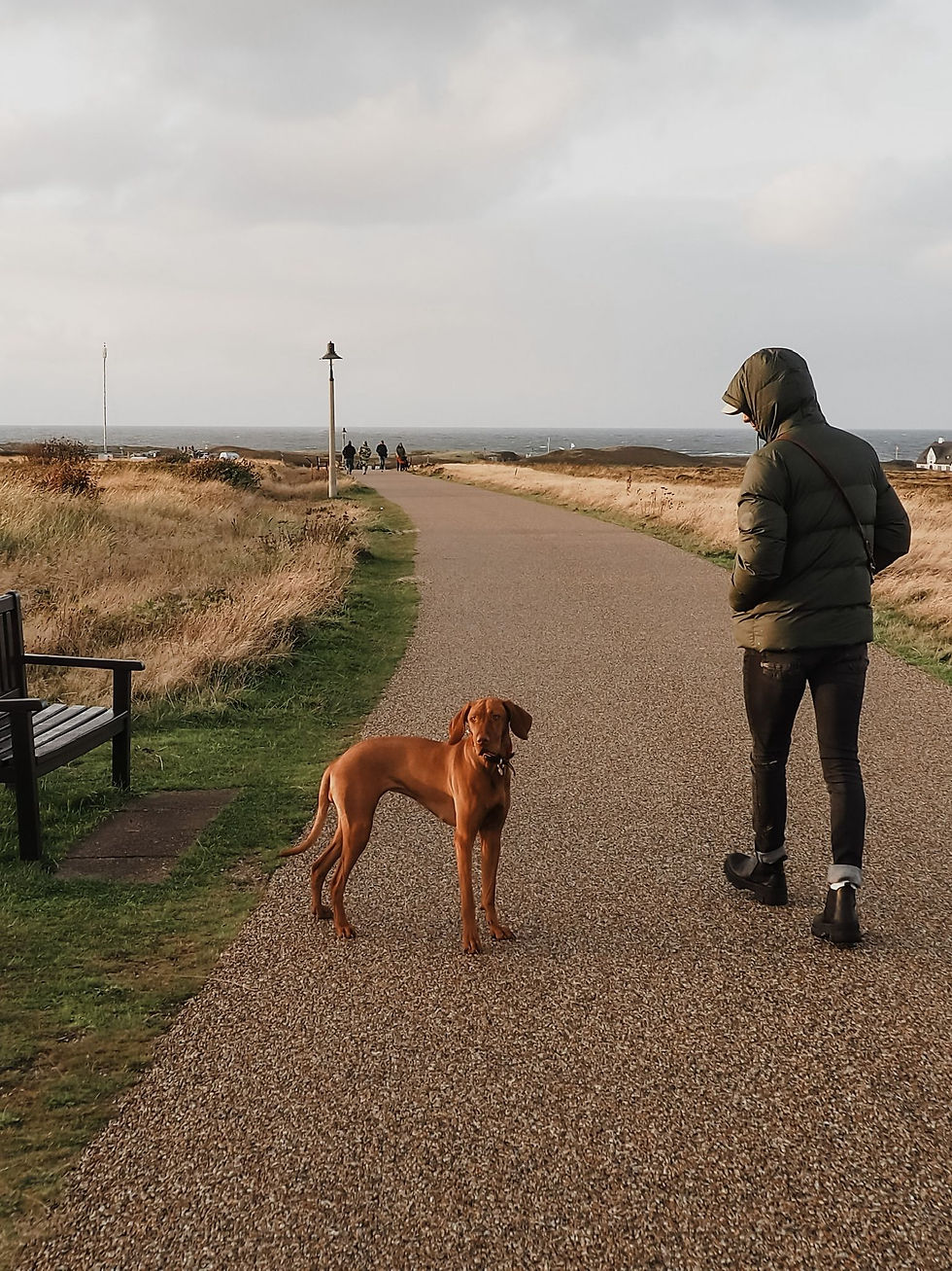Traumhundeurlaub auf Sylt – Dein perfekter Inselurlaub für Zwei- und Vierbeiner