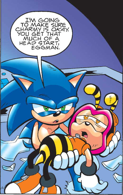 Sonic and Charmy Bee