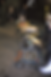 ree