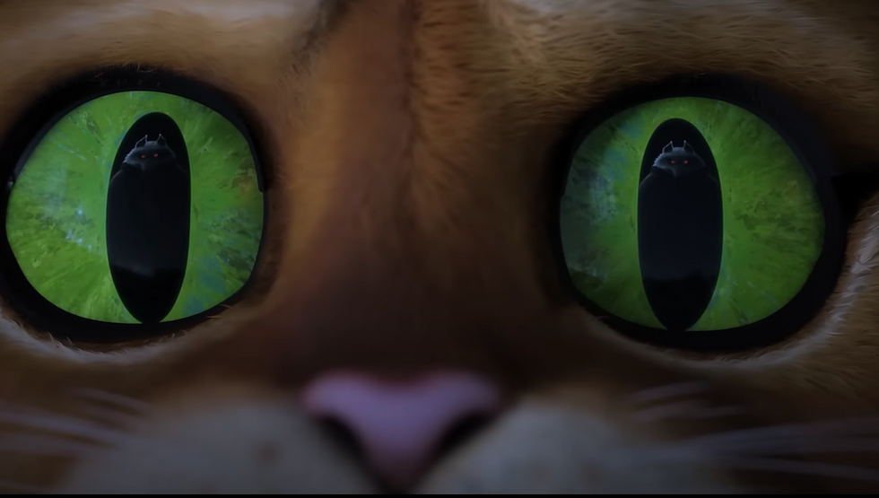 Puss's eyes