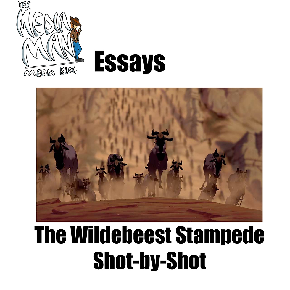 Media Essays: The Wildebeest Stampede Shot-By-Shot