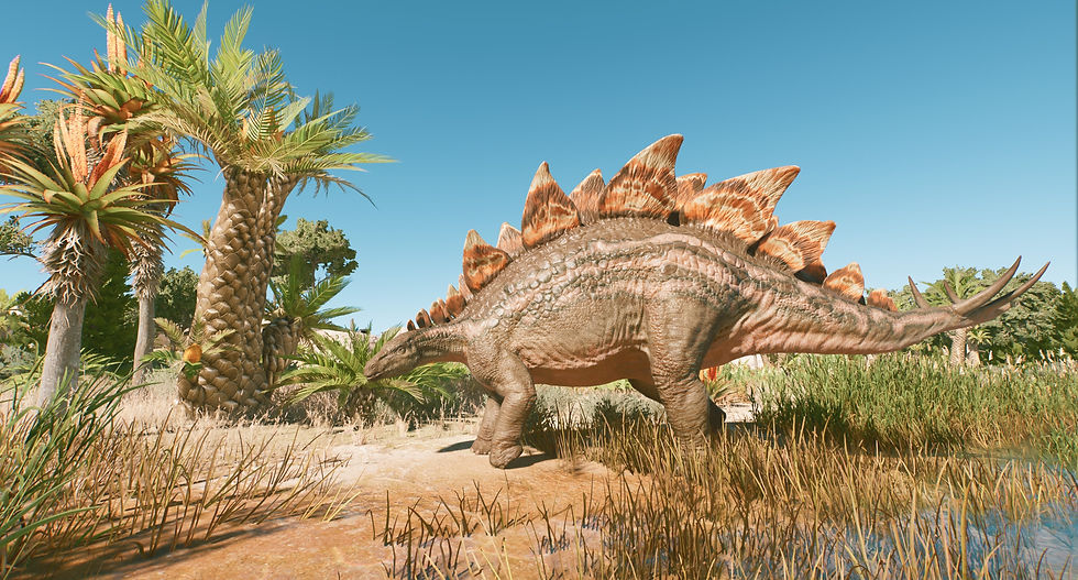 Male Stegosaurus
