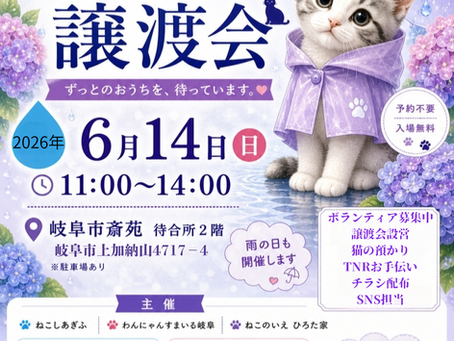 6月の譲渡会