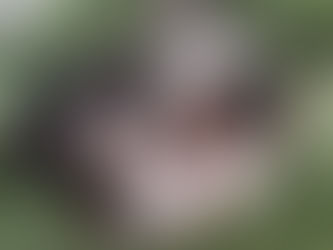 ［卒業］けん＆りょう　里親様   決まりました