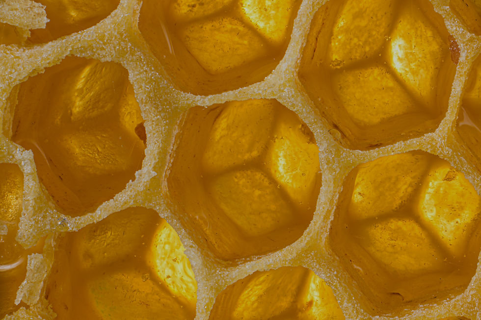 Honeycomb Closeup_edited.jpg