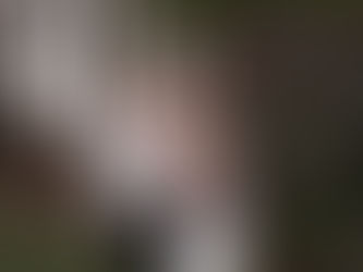 Wedding Photography at the Woodlands Hotel Leeds