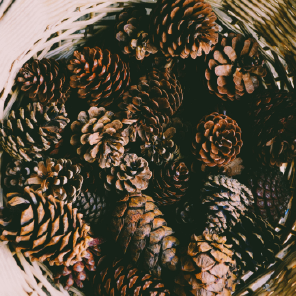 Cones