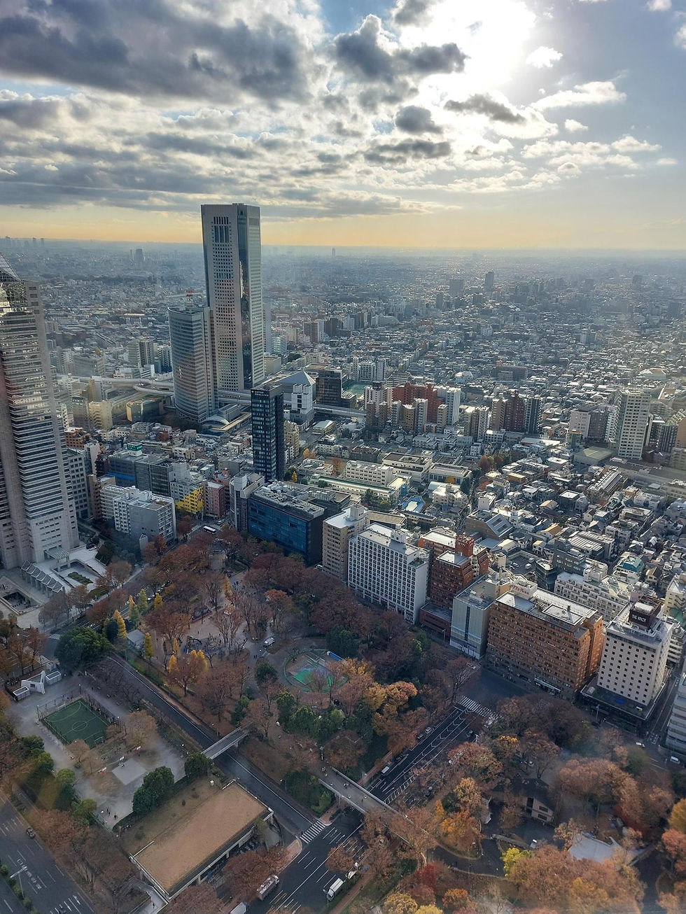 都庁の展望室からの眺め(西)