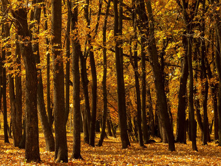 20230215 「相棒」