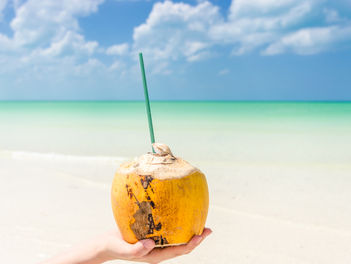 cancun - holobox - cancun