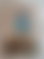 【掲載】毎日が発見1月号　緑茶レシピ　レモンジャムとキウイジャム