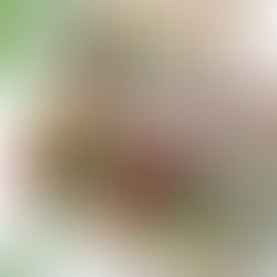 【制作】フクダ電子様 「動脈硬化を防ぐ」イベント弁当