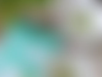 毎日が発見　5月号「栄養を逃さず使い切る　野菜を捨てない食べ方」掲載