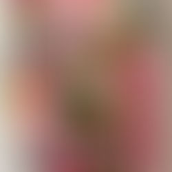 女性セブン表紙