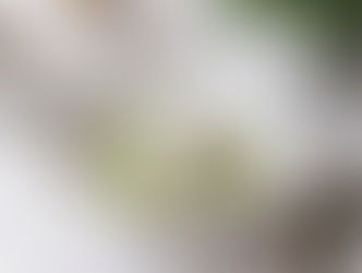 【出演】横浜市Youtube「都筑野菜クッキング」キウイフルーツのクレームダンジュ