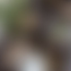 【講演】「人生１００年時代を楽しく過ごす♪お口の健康と栄養について」　講座