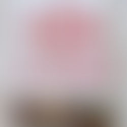 オレンジページ 一生健康100歳レシピ