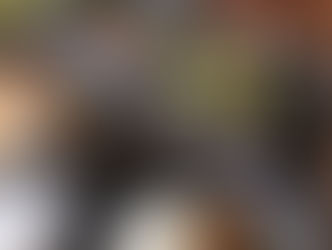 【掲載】毎日が発見７月号　冷凍ミックス薬味