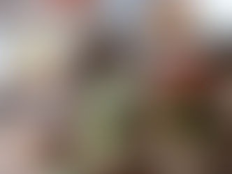 【JA 料理教室】ピンチョスパーティ