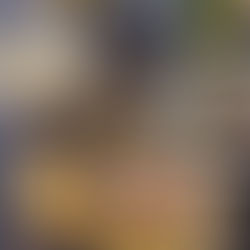 【掲載】毎日が発見9月号