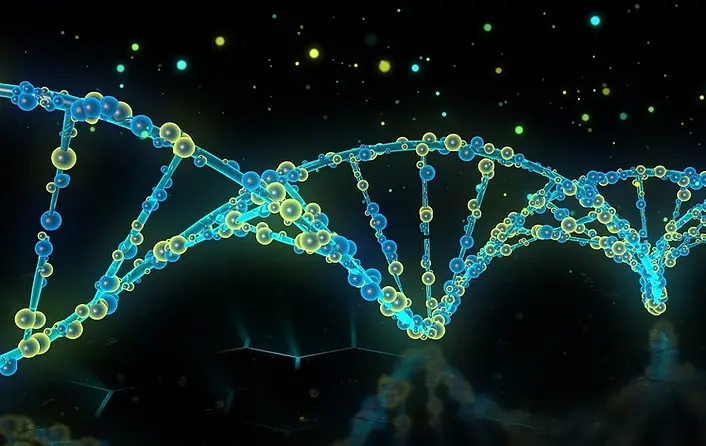 dna-6896923_1280.webp