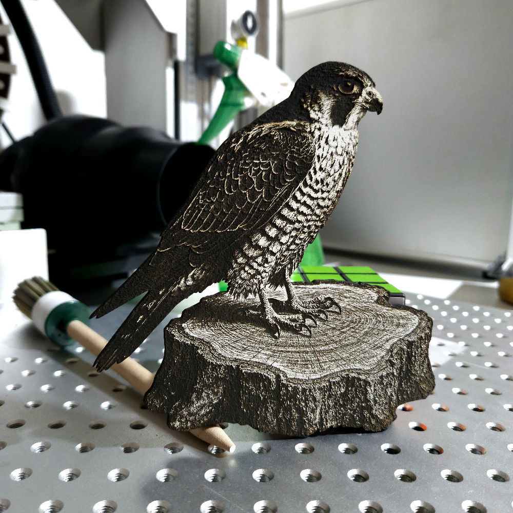 Falcon T 3D Illusion (Digital Item)